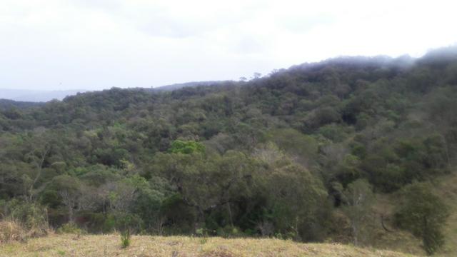 Fazenda com 663 alqueires em campo largo - Foto 8