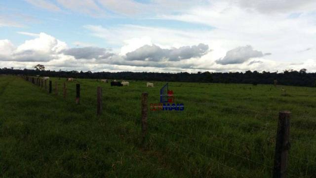 Fazenda Localizada na cidade de Buritis-RO - Foto 12