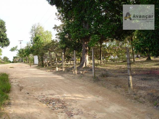 Chácara com 3 dormitórios à venda, 20000 m² por R$ 500.000,00 - Carne de Vaca - Goiana/PE - Foto 20