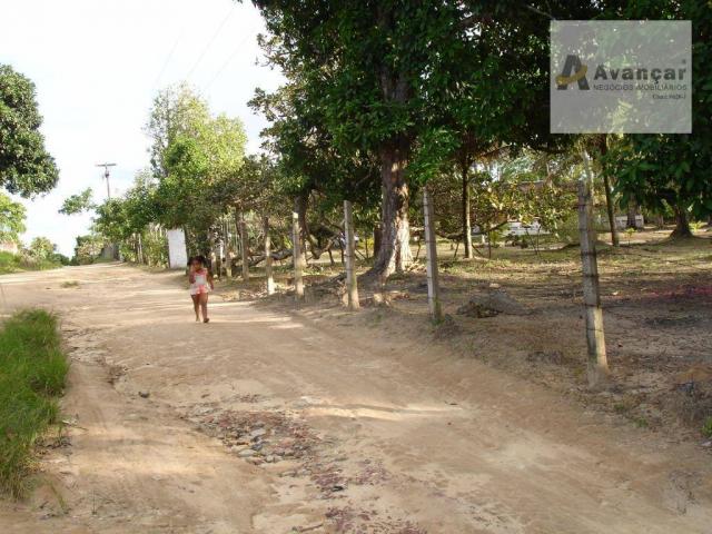 Chácara com 3 dormitórios à venda, 20000 m² por R$ 500.000,00 - Carne de Vaca - Goiana/PE - Foto 19