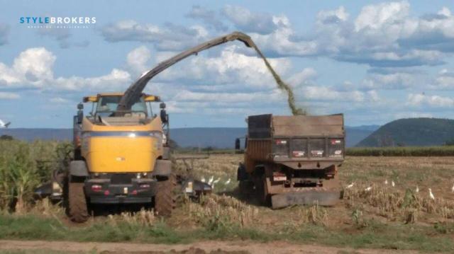 Fazenda no Estado da Bahia à venda, 600000000 m² por R$ 525.000.000 - Praia Grande - Salva