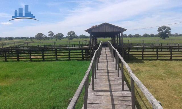 FAZENDA PARA GADO DE 14.950 HECTARES NA REGIÃO DE POCONÉ-MT - Foto 4