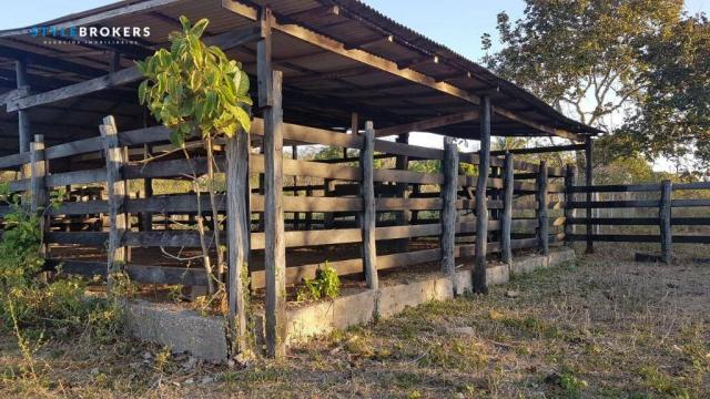 Sítio no Município de Alto Paraguai à venda, 320000 m² por R$ 815.000 - Zona Rural - Cuiab