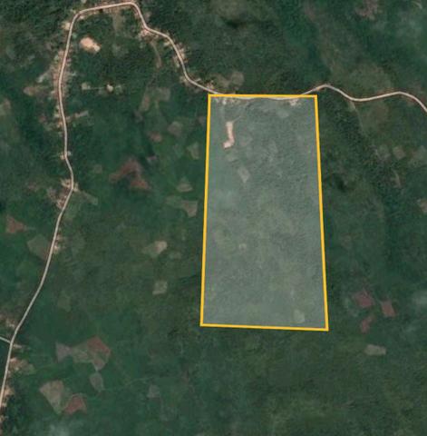 Área no interior do MARANHÃO 1 hectare