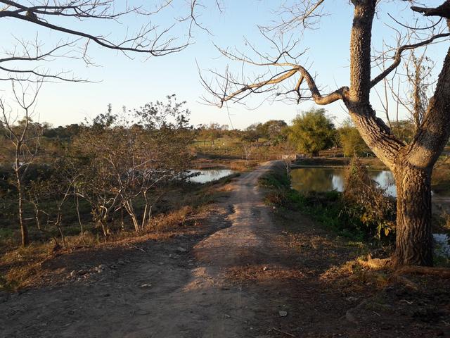 Sítio muito bom - Foto 11
