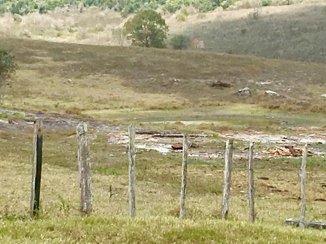Fazenda em Boa Nova BAHIA com 167he - Foto 3