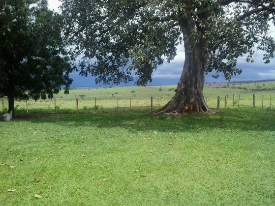 Chácara à venda, 20000 m² por R$ 350.000,00 - Zona Rural - Presidente Venceslau/SP - Foto 14