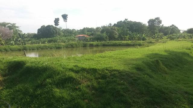 Vendo pesqueiro maravilhoso! - Foto 10