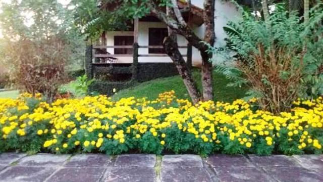 Sítio com 4 dormitórios à venda, 6150 m² por R$ 500.000 - Campanha - Teresópolis/RJ - Foto 3