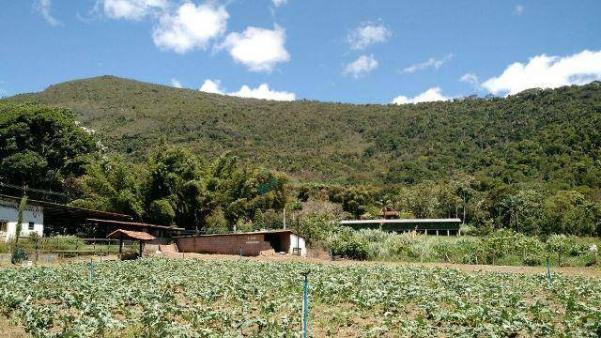 Fazenda rural à venda, Serra do Capim, Teresópolis. - Foto 2