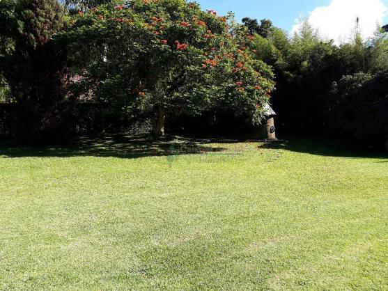 Terreno residencial à venda, Parque do Imbui, Teresópolis. - Foto 4
