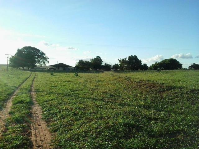 Chácara à venda, 20000 m² por R$ 350.000,00 - Zona Rural - Presidente Venceslau/SP - Foto 16
