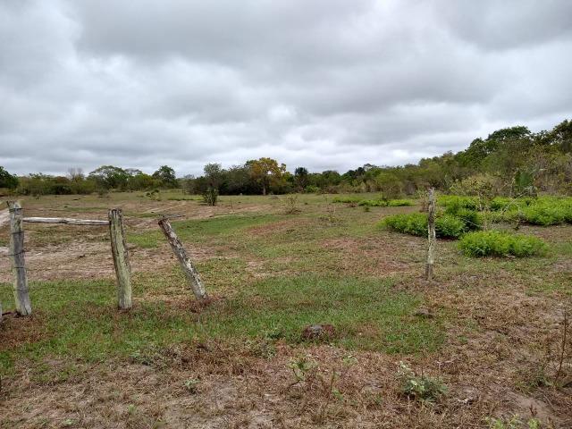 Fazenda 242 hectares, Rica em água. 140 km de CG - Foto 9