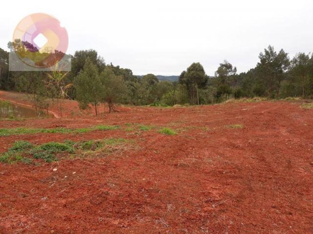Chácara à venda, 23000 m² por R$ 180.000 - Palmerinha - Campina Grande do Sul/PR