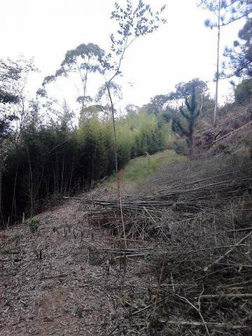 Terreno residencial à venda, Fazenda Boa Fé, Teresópolis - TE0063. - Foto 3