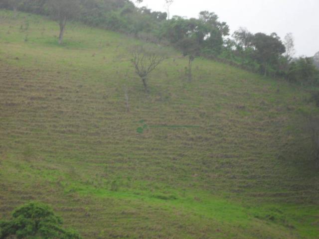 Área Venda Nova - Foto 7