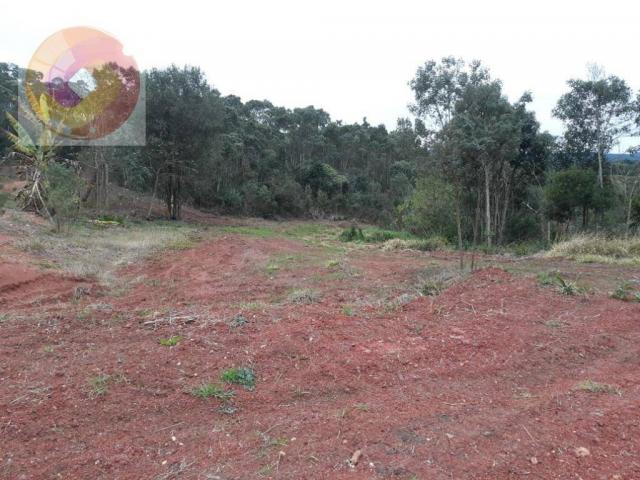 Chácara à venda, 23000 m² por R$ 180.000 - Palmerinha - Campina Grande do Sul/PR - Foto 16