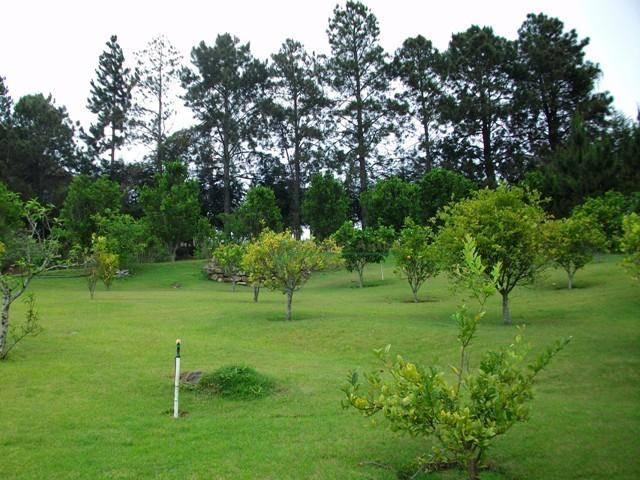 Sítio rural à venda, Vieira, Teresópolis - SI0071. - Foto 5
