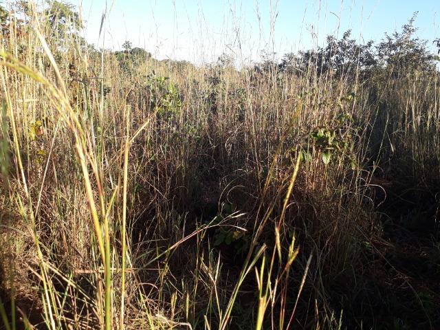 Chácara em Acorizal 38,2 hectares - Foto 20