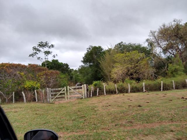 Fazenda 242 hectares, Rica em água. 140 km de CG - Foto 10