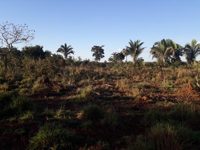 Chácara em Acorizal 38,2 hectares - Foto 16