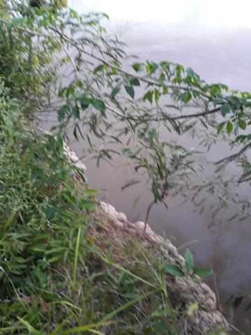 Vendo chácara na beira do rio ao lado do pesqueiro casa de telha - Foto 10