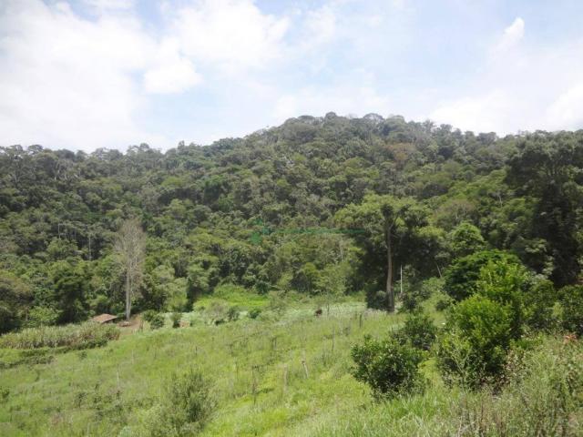 Sitio com 780.000 m² por R$ 1.150.000 - Ponte Nova - Teresópolis/RJ - Foto 14