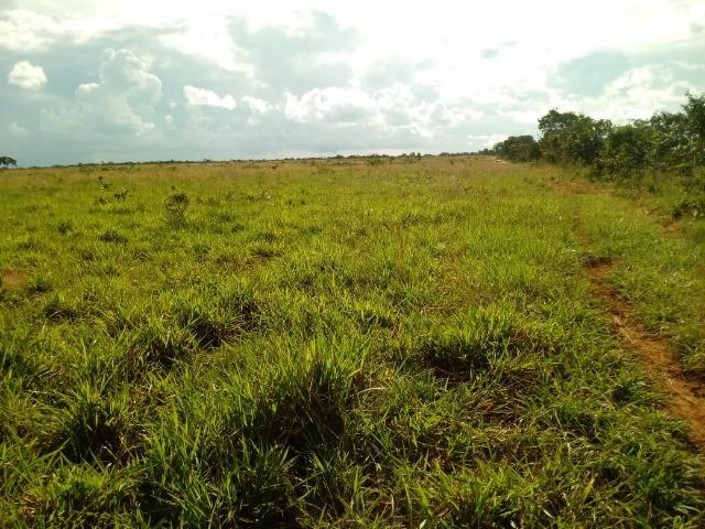 Fazenda com dupla aptidão em Rosário Oeste Mato Grosso - Foto 9
