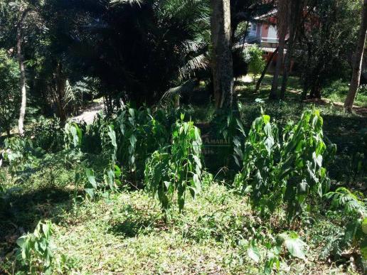 Terreno residencial à venda, Vargem Grande, Teresópolis. - Foto 6