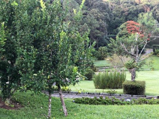 terreno na AMAVALE Raridade - Foto 10