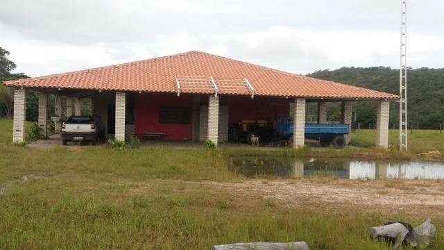 Fazenda em São João da Aliança