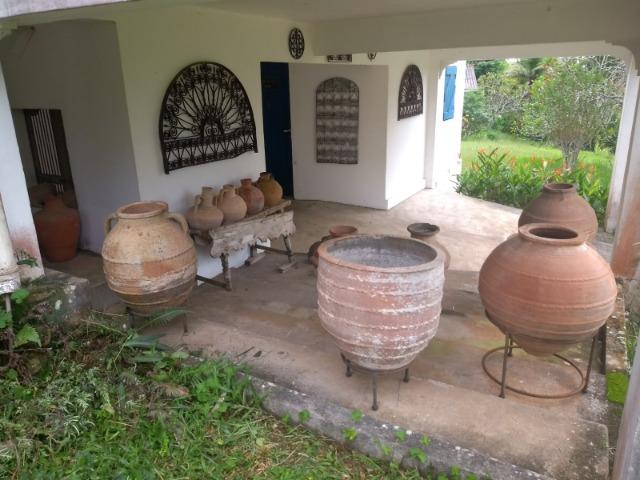 Linda fazenda com nascente própria em Jaconé, Maricá - Foto 6