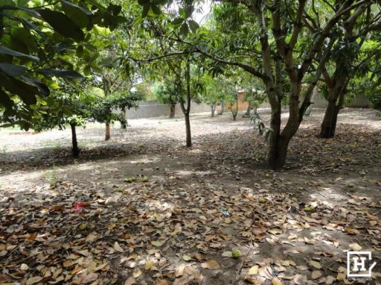 Terreno à venda - mosqueiro (zona de expansão) - Foto 11