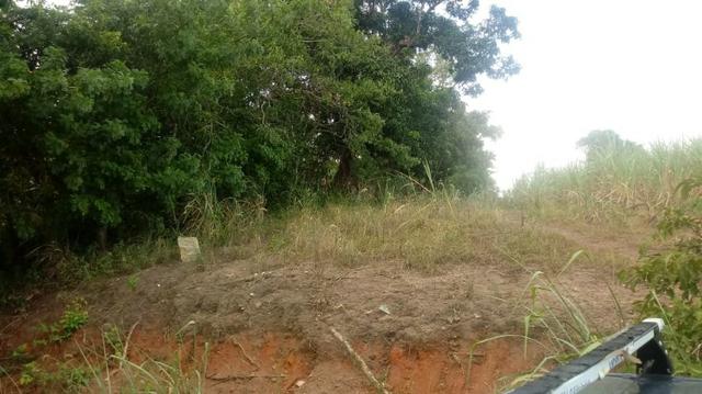 Ótima propriedade de 2 hectares, em Chã de Alegria-PE. R$ 140 mil - Foto 5