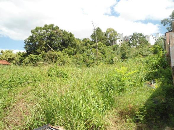 Terreno residencial à venda, rondônia, novo hamburgo. - Foto 3