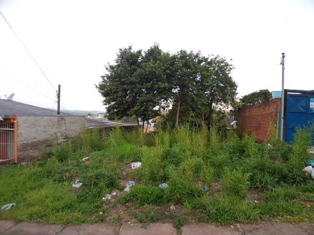 Terreno residencial à venda, rondônia, novo hamburgo. - Foto 3