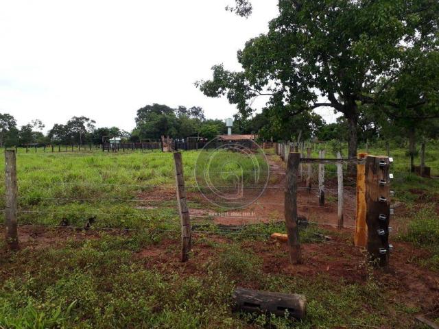 Fazenda 104 ha poconé mt - Foto 12