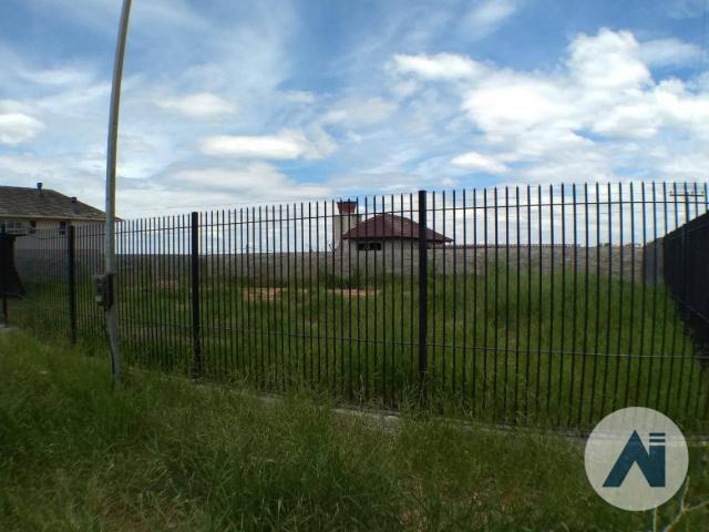 Terreno residencial à venda, rincao dos ilheus, estância velha. - Foto 2