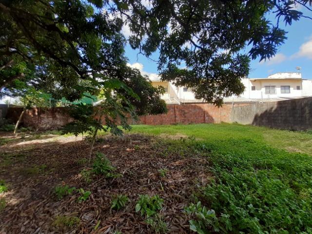 Messejana - Terreno 1.967m² na Av. Perimetral - Foto 13