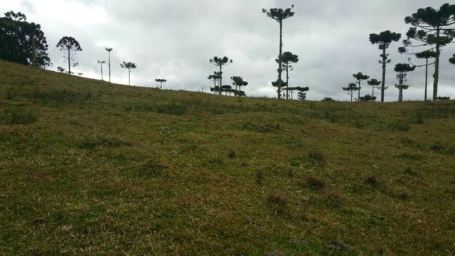Sitio em Urubici/chácara rural em Urubici/área rural - Foto 2
