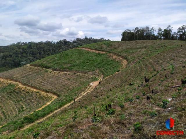 Terreno para Venda em Santa Maria de Jetibá, Centro - Foto 9