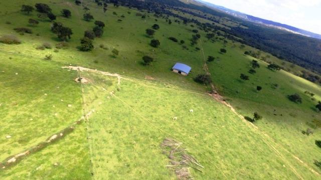 Fazenda em Ipameri (Soja e Pasto ; Beira Asfalto) - Foto 3