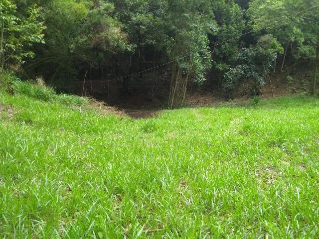 05- Alô Região ótimos preços em 1000mt² - Foto 5