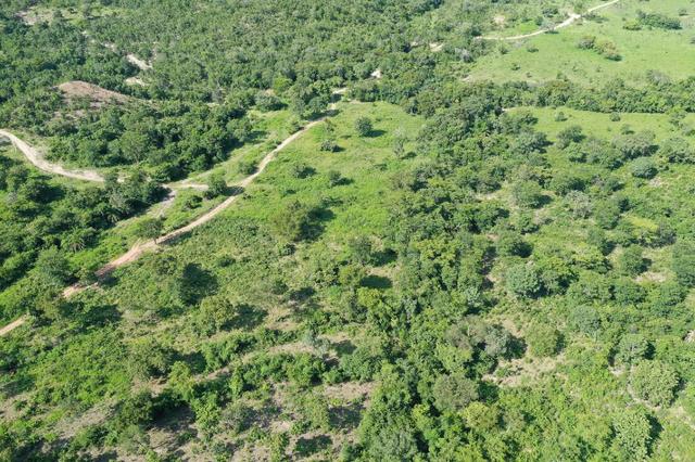 Fazenda de 25 Alqueires, Município Araguapaz-Go - Foto 9