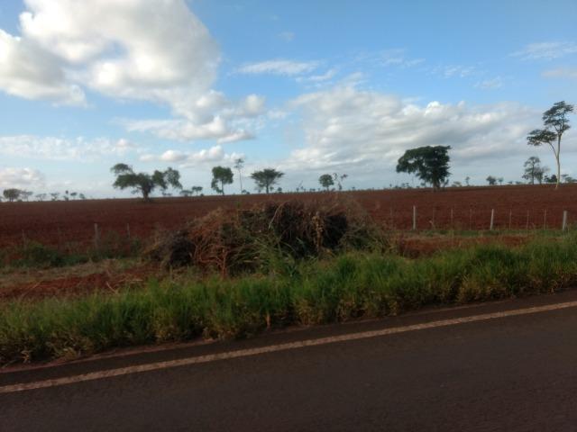 Alugo Fazenda p Arrendamento no Ms 1000 há - Foto 9