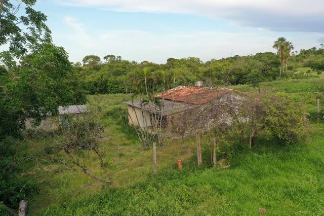 Fazenda no município de faina-GO! 24 Alqueires! - Foto 7