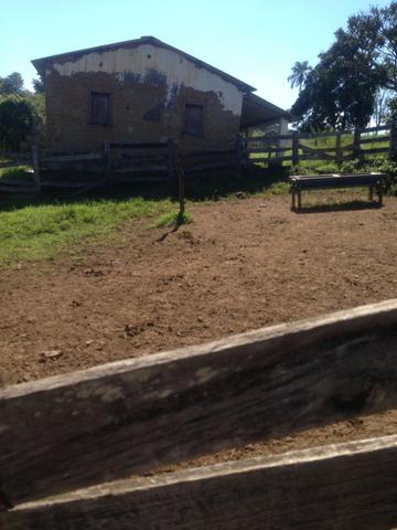 Fazenda caruru Valor R$ 1,400,000 - Foto 2