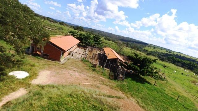 Fazenda em Ipameri (Soja e Pasto ; Beira Asfalto) - Foto 6