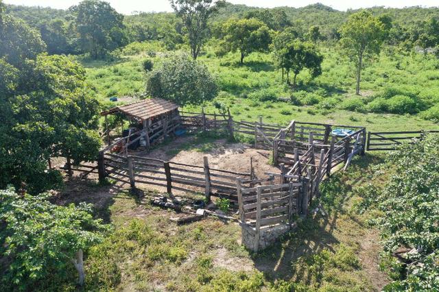 Fazenda de 25 Alqueires, Município Araguapaz-Go - Foto 5