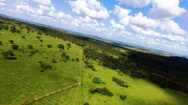 Fazenda em Ipameri (Soja e Pasto ; Beira Asfalto) - Foto 5